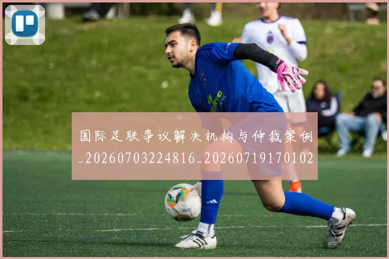 国际足联争议解决机构与仲裁案例_20260703224816_20260719170102
