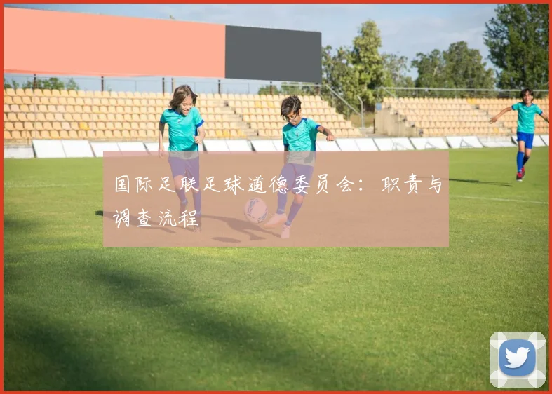 国际足联足球道德委员会：职责与调查流程