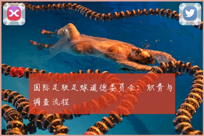 国际足联足球道德委员会:职责与调查流程