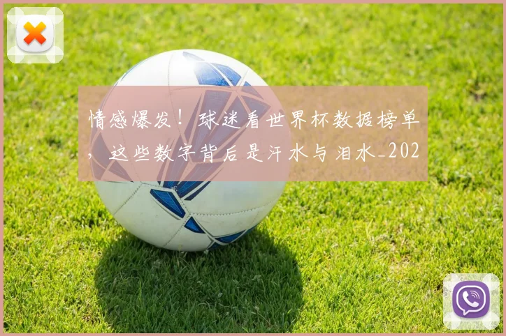 情感爆发!球迷看世界杯数据榜单,这些数字背后是汗水与泪水_20260723172449
