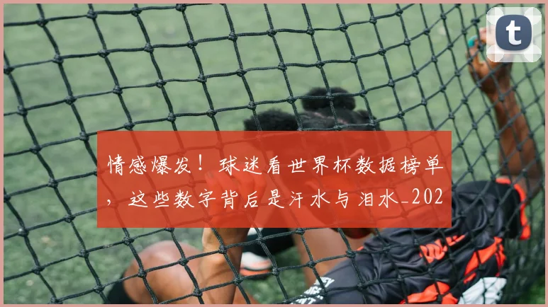 情感爆发！球迷看世界杯数据榜单，这些数字背后是汗水与泪水_20260723172449